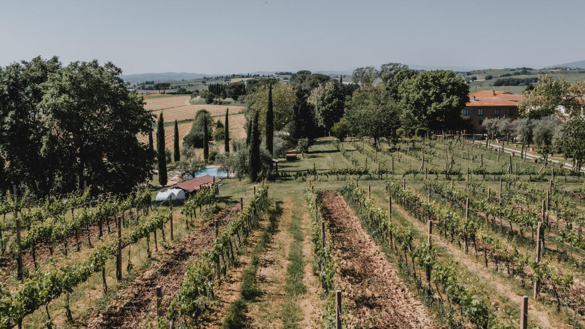 Podere Biagio Valiano المظهر الخارجي الصورة