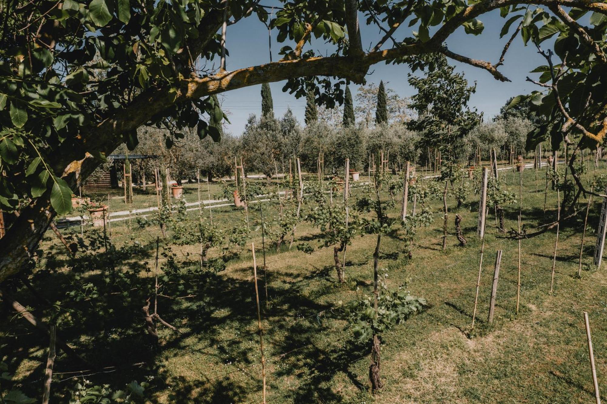 Podere Biagio Valiano المظهر الخارجي الصورة